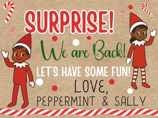 The Elves are Back! (4 ft)