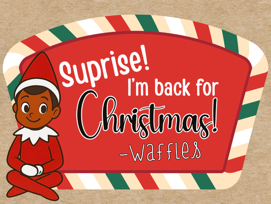 Surprise! Elf on a Shelf is Back for Christmas! (4 ft)